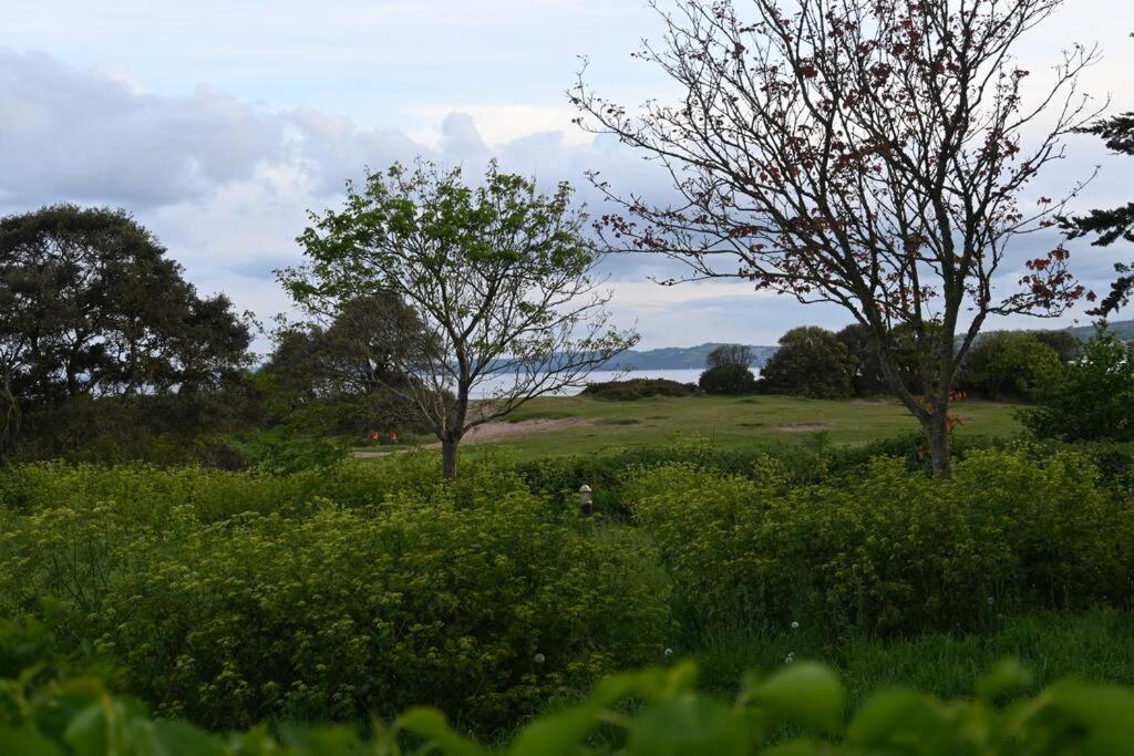 Seaside, Centre - Sleeps 6+ Holiday home Exmouth